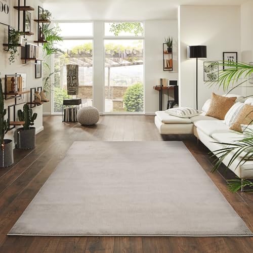 Jimri Alfombra mullida de Pelo Corto de para el hogar, Oficina, Cocina, Entrada, Pasillo, Sala de Estar, Lavable a máquina, Antideslizante, Lavable (Beige, 120 x 160 cm)