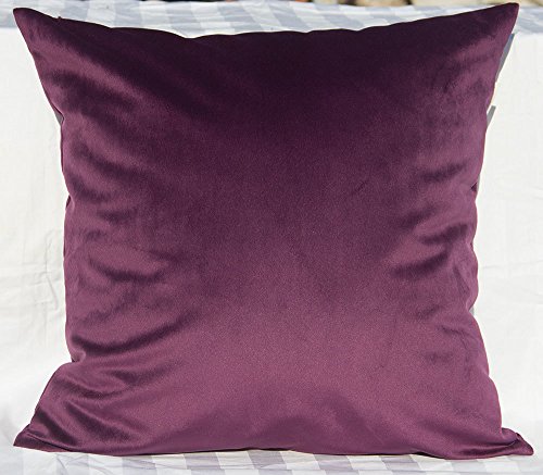 TangDepot Solid Velvet Throw Pillow Cover/Euro Sham/Cushion Sham, Super Luxury Soft Pillow Cases, Many Color & Size Options - (16"x16", Dark Violet)