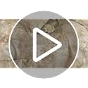 ECOCOTT Bedding 3 Piece Duvet Cover King Size–Silky Soft 100% Lyocell, Hypoallergenic & Eco-Friendly, Cooling & Breathable Serene Lily of The Valley Floral Pattern Design Bedding for Hot Sleepers