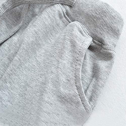 Image of Little Boys Jogger Pants Toddler Boys' Drawstring Elastic Waist Cotton Casual Sweatpants 1PC / 2 PCS Set