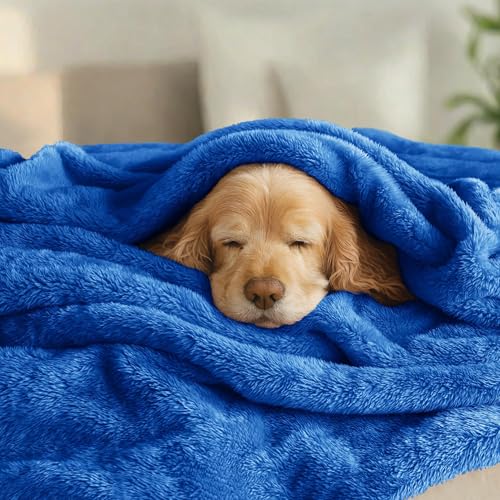Image of Exclusivo Mezcla Plush Fuzzy Fleece Bed Blanket King Size, Super Soft, Fluffy and Warm Blankets for Couch, Bed, All Season (Cobalt Blue, 90x104 inches)
