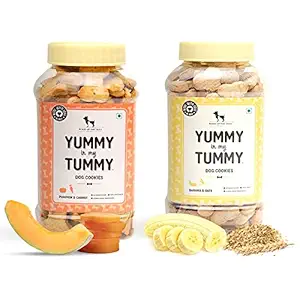 Combo of Banana & Oats, Pumpkin & Carrots Dog Biscuits - 320g Each - Combo of 2