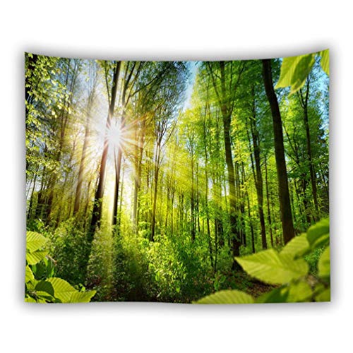 J^N(KATAKU)Ri^yXg[ 唻 150*130cm CeA Xѕ @\ Ԏd؂ ȒPBep z J[e Vzj v[g  Ǌ|^yXg[ SINRIN-10