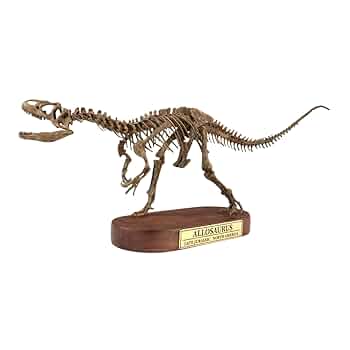 Amazon.co.jp: 菊石 アロサウルス フィギュア 異竜 恐竜 台座