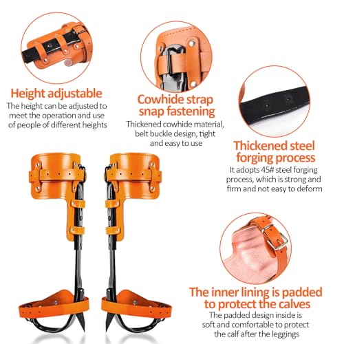 Image of Tree Climbing Gear, Tree Climbing Spikes, Tree Climbing Gear with Adjustable Climbing Straps and Steel Core Flip Line, Rock Climbing Kit with Triple Lock Lanyard Adjuster