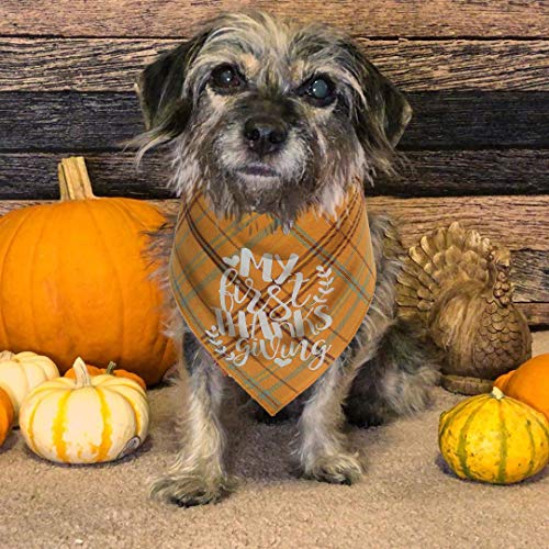 Bandana para perro primera acción de gracias miniatura 4