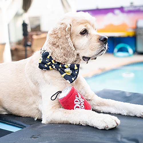 H&K For Dogs Power Plush | Dr. Pooper (Small) | Funny Dog Toy | Dog Toy With Squeaker | Dog Gift | Fun, Durable, And Safe | Squeaky Dog Toy #TOP3