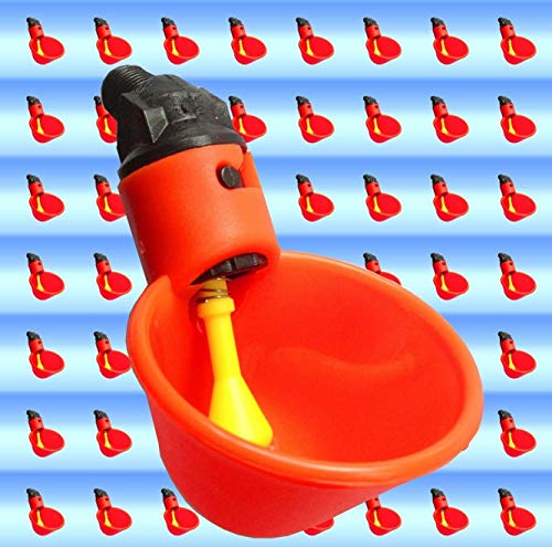 QHXCM for 100PCS AUTOMATIC WATERER DRINKER CUP CHICKEN COOP POULTRY CHOOK BIRD TURKEY DRINK