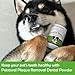 Petstoral 2-Pack Plaque Removal Natural Dental Powder, Dog Dental Care and Bad Breath Treatment, Dog Teeth Cleaning Powder for Healthy Teeth & Gums for All Dogs
