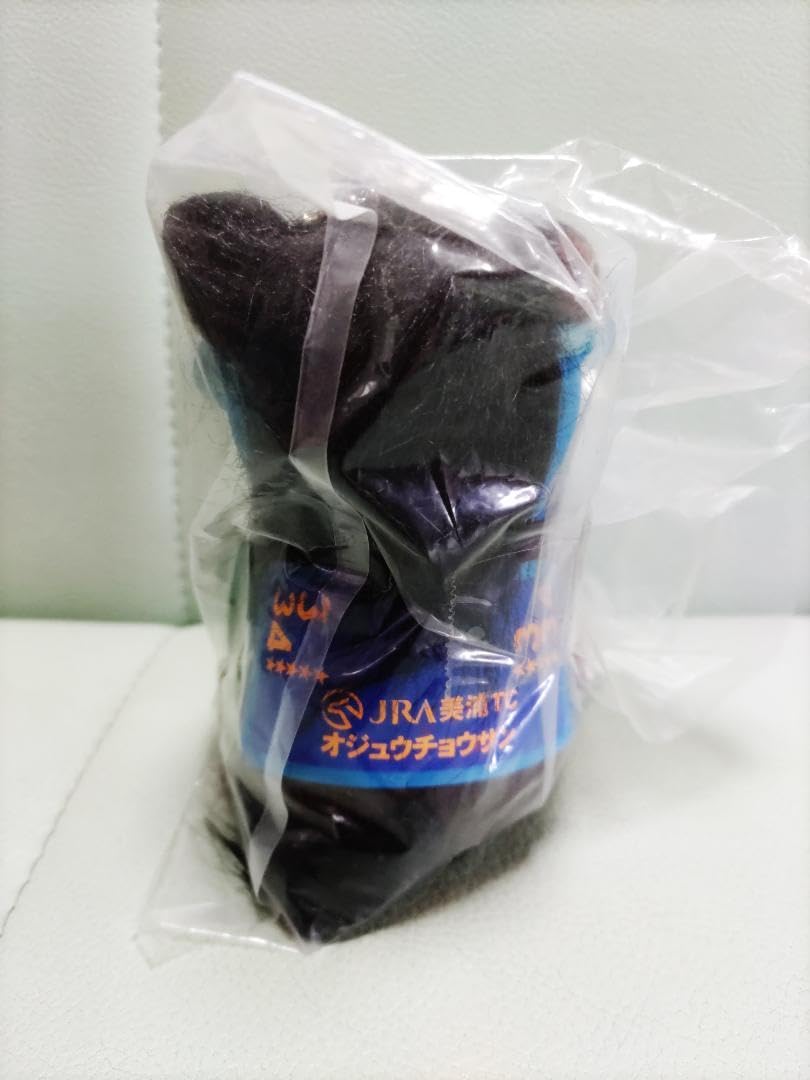 Amazon.co.jp: 鬼 オジュウチョウサン 美浦トレセン限定版 アイドル