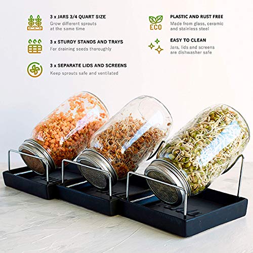 lzndeal Automatic Sprouter Machine Bean Sprouts Growing Machine Large-Capacity Sprouting Seedling Machines - Thumbnail 7