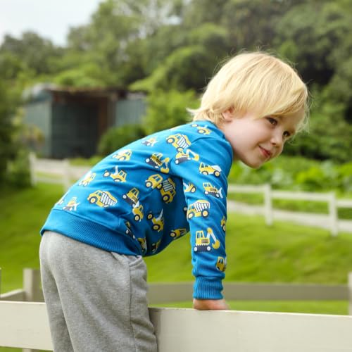 Image of GFQLONG Toddler Boy Sweatshirt 2T 3T 4T 5T Long Sleeve Shirts Boys Sweater | Cotton Dinosaur Cartoon Pullover Crewneck Sweatshirt,Toddler Boy Sweaters Tops,Kids Fall Winter Clothes