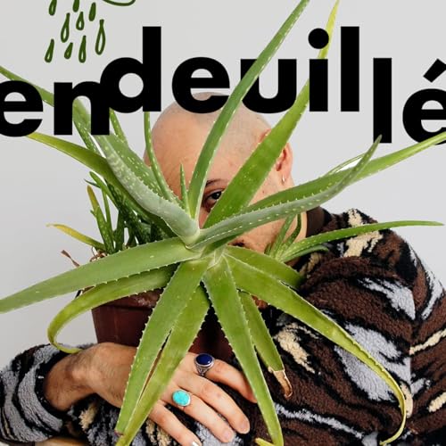 『Endeuill&eacute;』のカバーアート