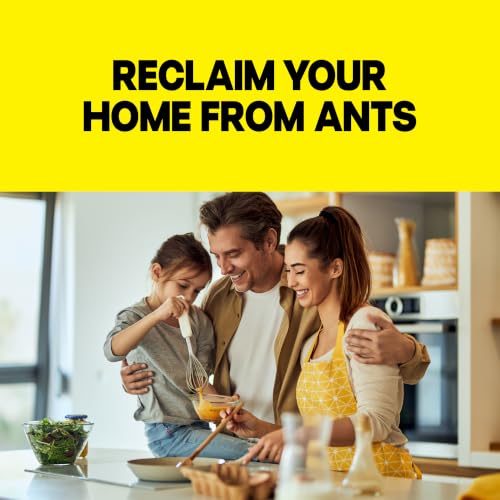 Image of Raid Ant Killer Baits, for Household Use, Kills the Colony, Kills Ants for 3 Months, Child Resistant, 4 Count
