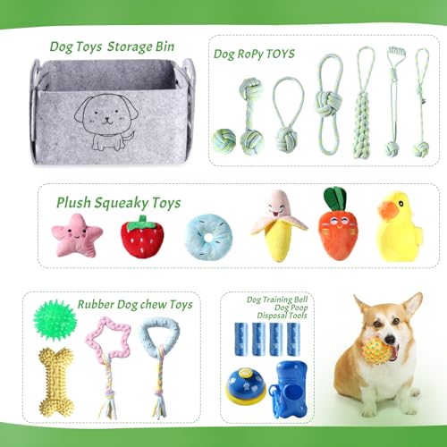 HMXLJJY 24 Stück Welpenspielzeug-Set, kleines Hundespielzeug, Welpen-Zahnspielzeug mit Aufbewahrungsbox, Welpen-Seilspielzeug, Kauspielzeug, Hundespielzeug für kleine und mittelgroße Hunde zum Spielen