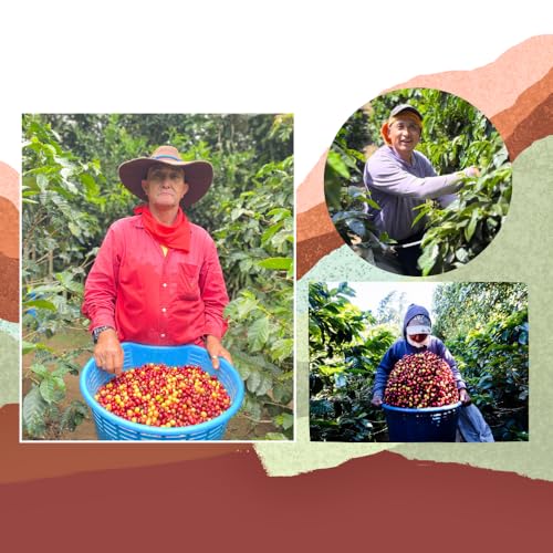 Cafe Monteverde - Café Tostado Oscuro en Grano 3-pack miniatura 5