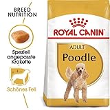 Royal Canin 35136 Breed Pudel 1,5 kg - Hundefutter