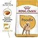 Royal Canin 35136 Breed Pudel 1,5 kg - Hundefutter