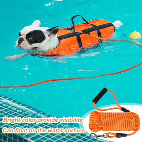 Szee 20240227-1 Floating Long Dog Leash thumb #1
