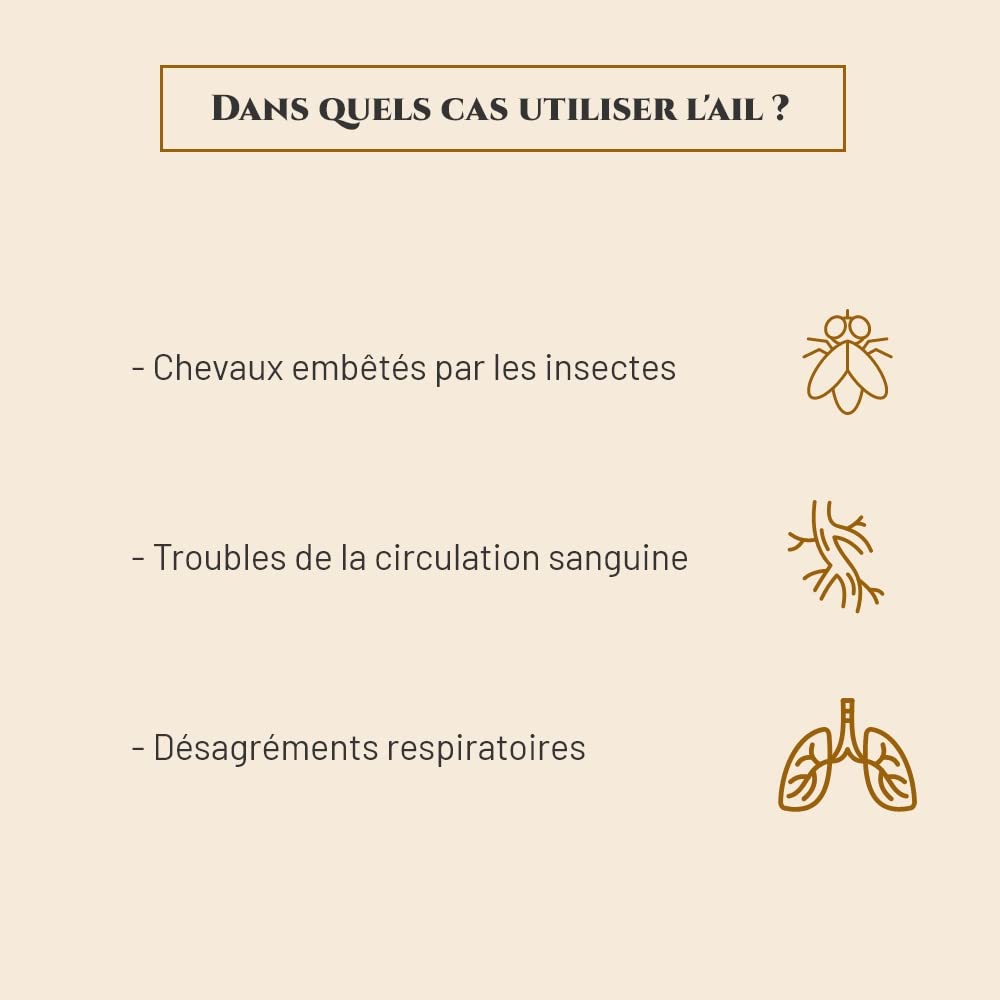 AIL - Complément nutritionnel Cheval - Seau 1 kg - Répulsif Contre Les Insectes - Circulation Sanguine - Soutien de la Respiration - Marque Française