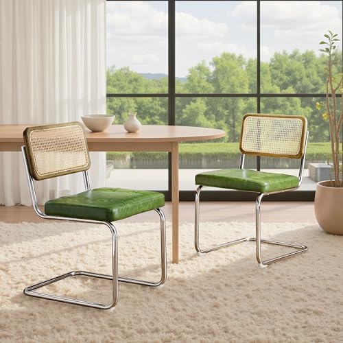 Zouron Schwingstühle 2er Set Grün - Besucherstuhl mit Eichenholz, Freischwinger Stühle, Avocado Grün Kunstleder Rattanstühle,...