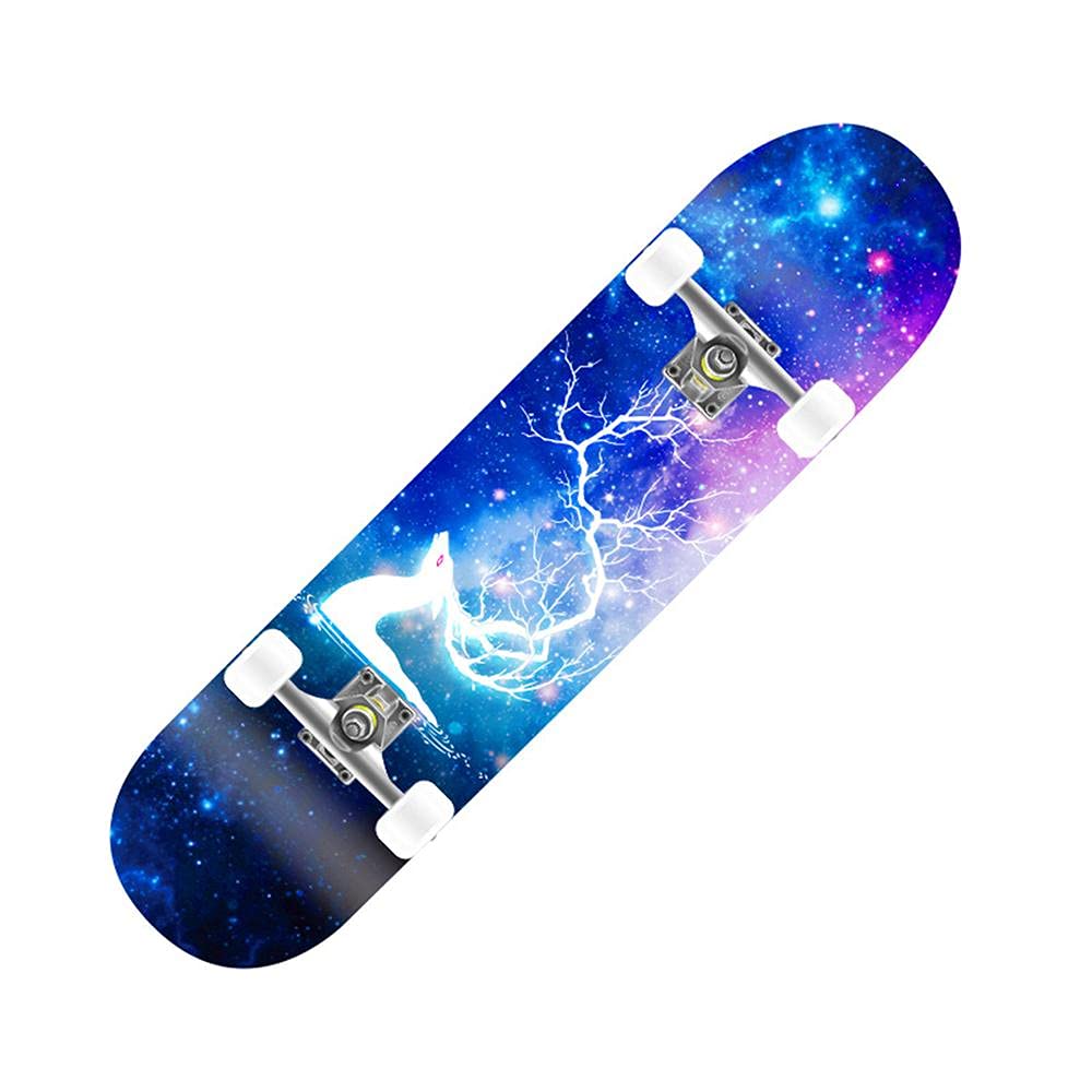 Skateboards Pro, Skateboard Complet 31 x 8 Pouces, érable Canadien à 8 Couches, Double Planche de Kick concave Cruiser Trick Skateboard pour Enfants débutants Adultes