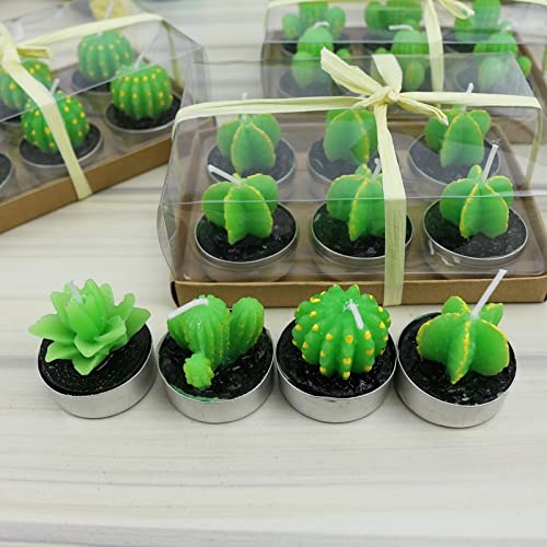 Telituny Bougies de Cactus - 6pcs Faits à la Main Cactus Succulent Cactus Bougie Chauffe-Plat Décoration de la Maison Bougie Mignonne Bon Cadeau pour la Fête d'anniversaire Mariage