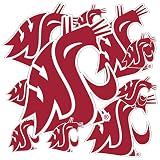 Desert Cactus Washington State Cougars Sticker Car Decal (T3-1)