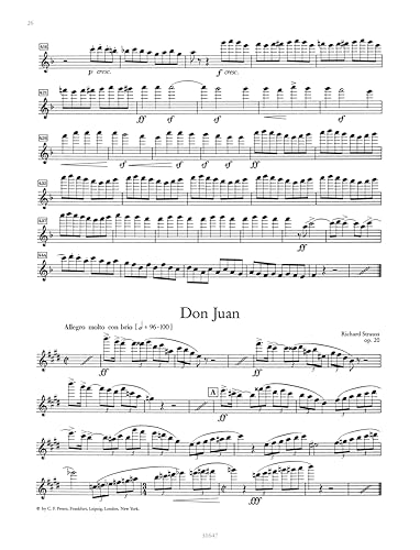 Orchesterprobespiel: Flöte / Piccoloflöte: Sammlung wichtiger Passagen aus der Opern- und Konzertliteratur