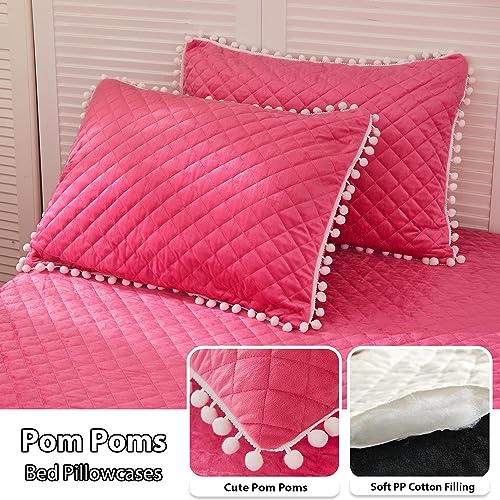 Image of LIFEREVO Luxury Plush Shaggy Duvet Cover Set, Soft Velvet Fluffy Duvet Cover Furry Bedding Comforter Set(1 Faux Fur Fuzzy Duvet Cover + 1 Pompoms Pillow Case), Zipper Closure(Twin /Twin XL, Hot Pink)