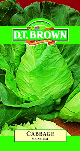 DT Brown Cabbage Sugarloaf Seeds