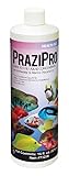 Hikari Prazipro 16oz