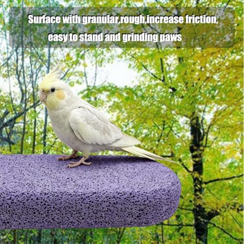 Image of 4 Bird Beak Grinding Stone Parrot Perch Stand for Small Birds