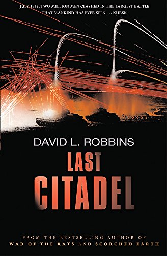 Last Citadel view 2