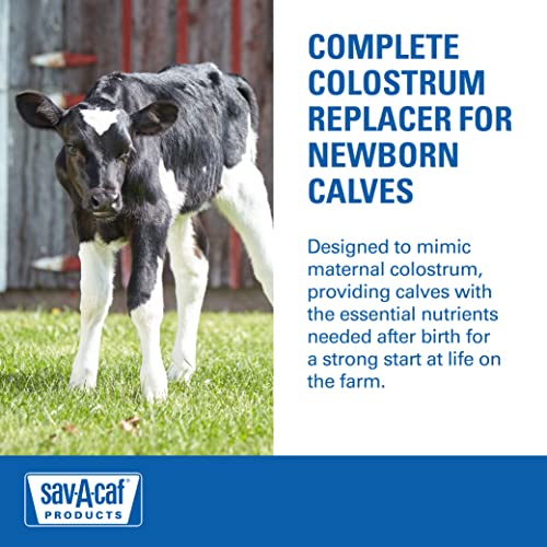 Image of Milk Products 633176 Sav-a-CAF Colostrum Replacer 100, 350G