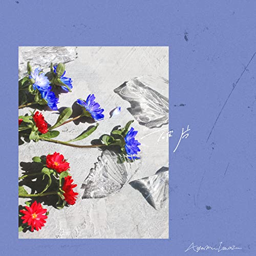 破片の商品画像