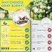 Window Bird Feeder with Strong Suction Cups - Gifts for Grandma Bird Watching Gifts for Grandpa Backyard Birding (Large House)