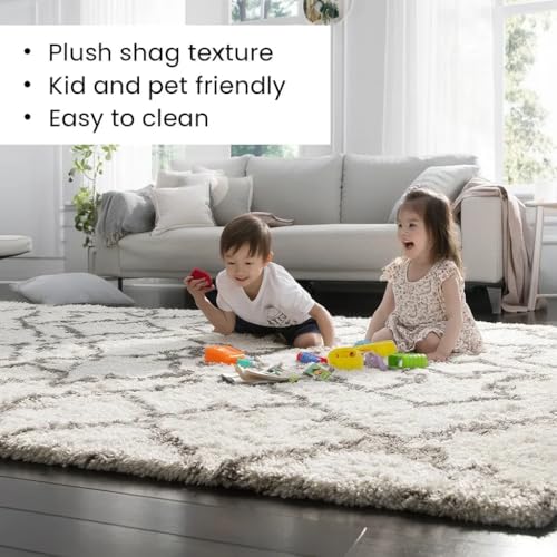 Image of Carpet for Hallway, Kitchen, and Modern Interiors, Cozy Shag Runner for Living Room, Entryway & Office Decor Size 4x6 feet Ivory B iii