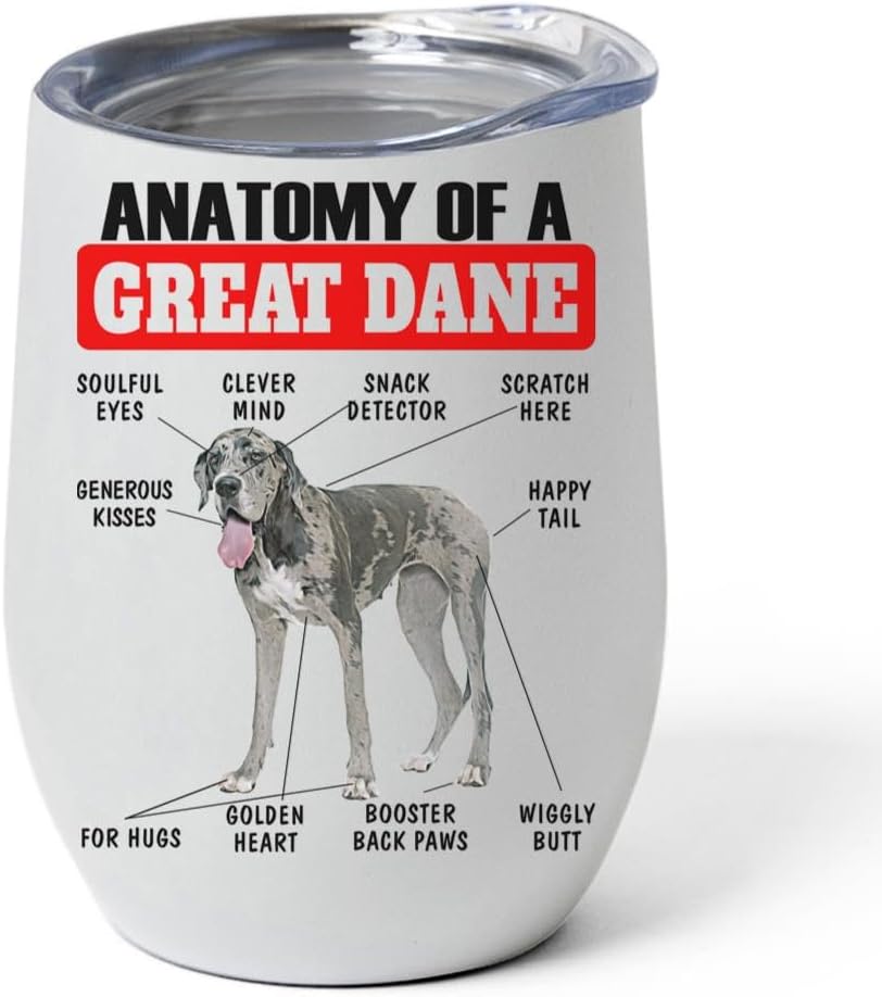 Merle Great Dane Tumbler 12oz - Funny Anatomy Chart Design - Stainless Steel Vacuum Insulated Wine Cup With Lid - Gifts for Dog Lovers