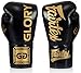 Fairtex Glory Kickboxing Gloves - Limited Edition (Black BGLG1 - Laceup, 12 oz)