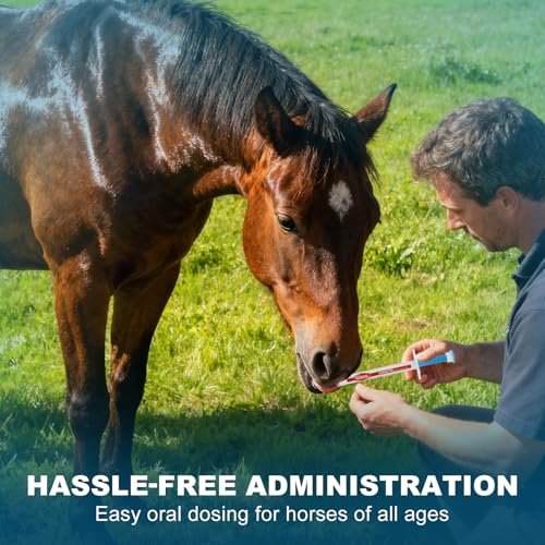 Ivermectin Equine Paste 1.87% – Apple Flavored Oral Dewormer for Horses, 6-Pack - Image 4