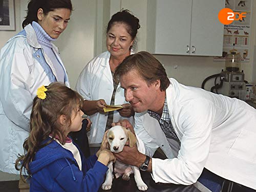 Charly und der Geldregen