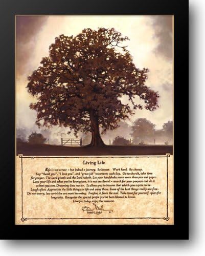 Living Life 16x20 Framed Art Print by Mohr, Bonnie