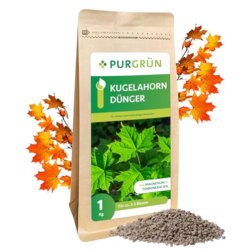 Purgrün® Kugelahorn-Dünger 1 kg – Organisch-mineralische...