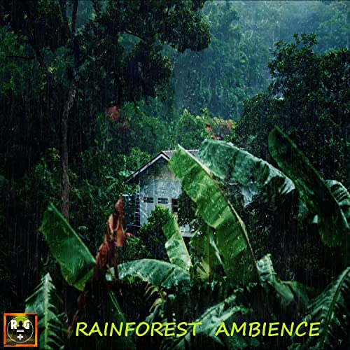 Play Rainforest Ambience With Sounds Of Rain Jungle Animals And