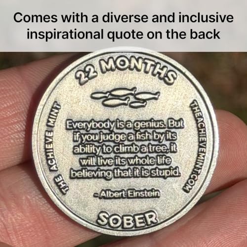 Image of The Achieve Mint 22 Months Sober Token | 22 Months Sobriety Chip | Non-AA, Non-Religious Medallion for Men and Women Celebrating Sobriety