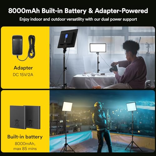 RALENO 13" LED Video Light Panel, 2-Pack Bi Color Photography Lighting Kit with 75" Stand & LCD Display, Studio Lights with 8000mAh Built-in Battery for Video Recording/Tiktok Live Streaming/Game