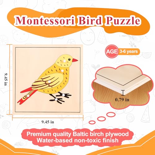 Image of Montessori Bird Anatomy Puzzle, Wooden Body Parts Learning Toy, Preschool Science Puzzle for Kids Ages 3-6, Classroom & Homeschool, Baltic Birch
