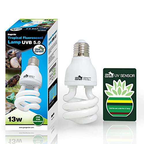 Best Uvb Light For Chameleon Reviews and Buying Guide 2022 BNB