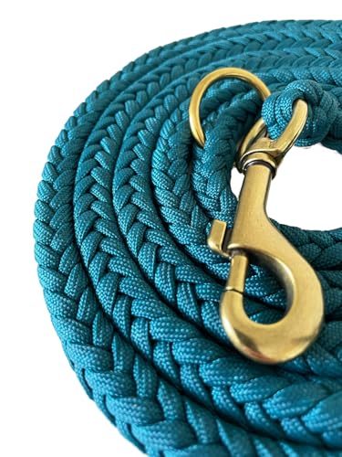 Leisegrün Paracord Hundeleine 2m | Handgefertigte Leine 3-Fach verstellbar | Handmade für kleine und mittelgroße Hunde (Seafoam, 2 m) | Farbe: Türkis